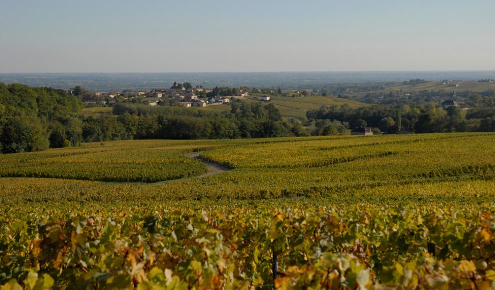 The village