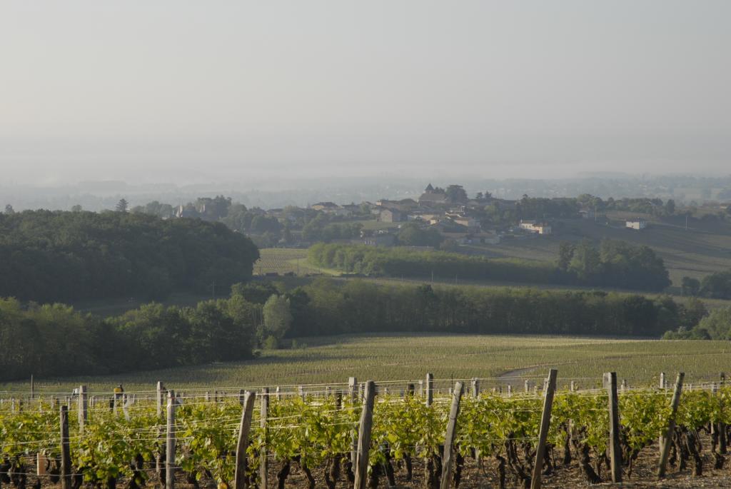 The estate : Chaîntré, village of Mâconnais